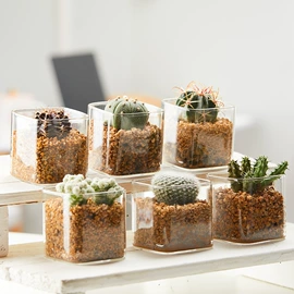 密封盒储物罐;水培植物瓶;调味盒