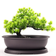 仿紫砂椭圆形塑料花盆多肉小盆栽万年松绿植小盆景复古花盆跨境