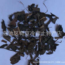 �[���L,���e����,�ӹǽ����m,�Ź���,��ɺ��,���l��ș���[���L