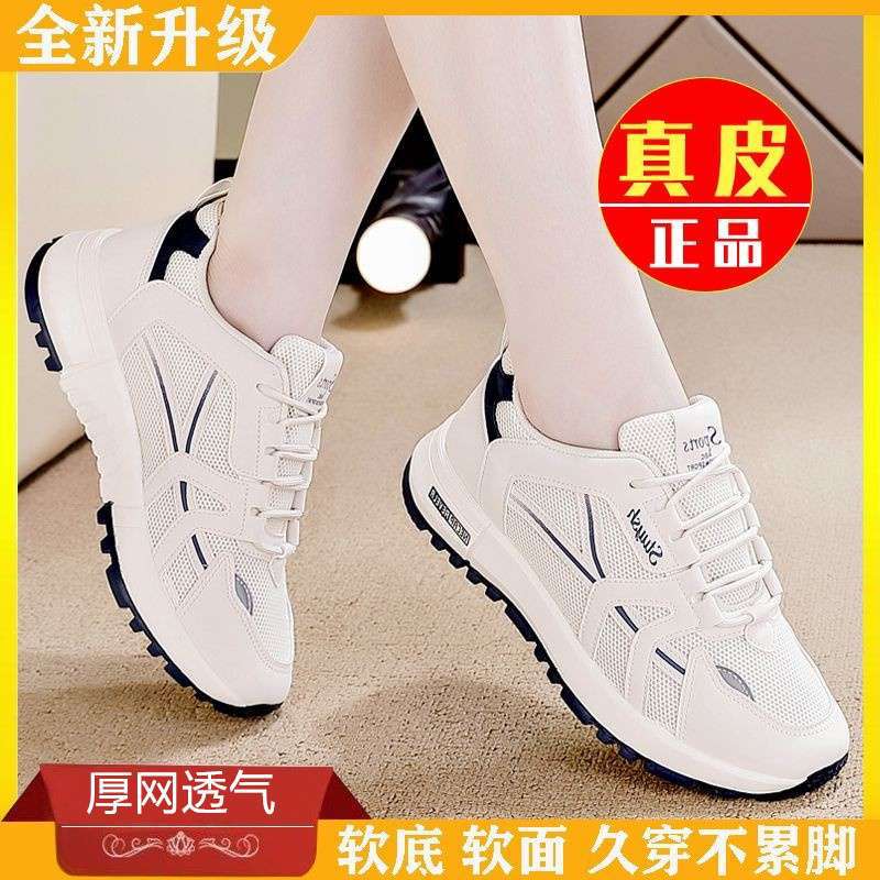 더블 네트워크 블루 완다 핫 모델