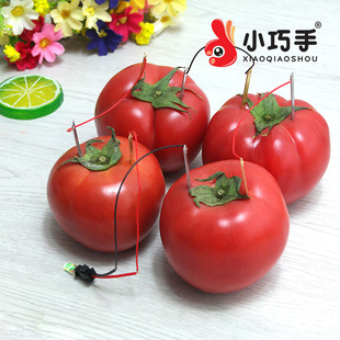 �\Ƭ�~Ƭˮ��늳ذl�С�W���ƌW��򞄓��DIY�ֹ��Ƽ�С�����l��