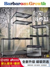 爬宠饲养箱宠物蛇玻璃缸角蛙树蛙蜘蛛爬虫生态雨林缸守宫鬃狮蜥蜴