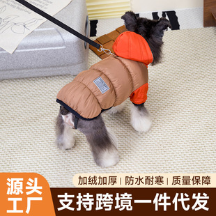 �ﶬ�¿��朼Ӻ������·���ѩ��ĥ͸�⹷��������ů����