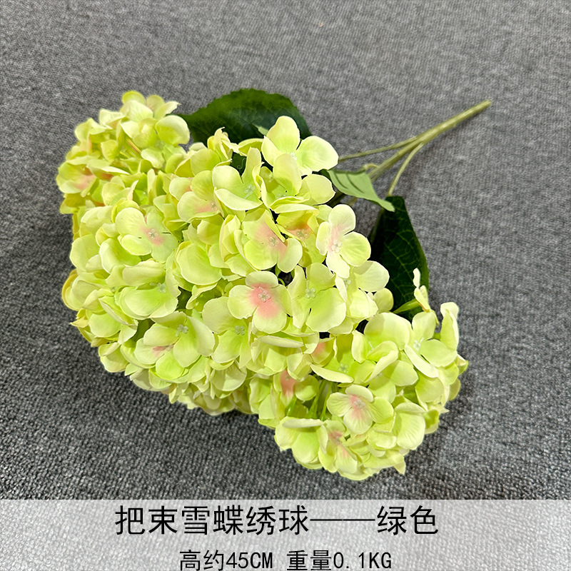 Paquete de Hortensias Mariposa de Nieve, Verde
