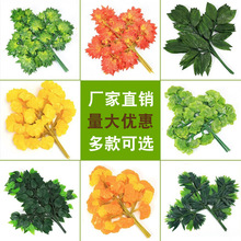 ����t���~�Ř��~���~���쾰�@���b����~��c�^�z�����y���~��֦