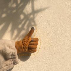 韓國ins冬季保暖學生針織加厚加絨騎行拼色防寒五指觸屏手套女