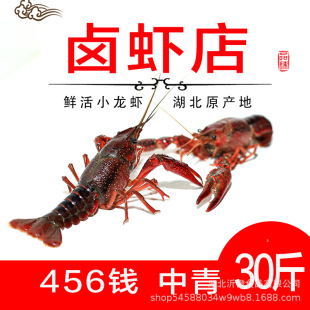 �����r��С���r456�X ��ˮ�����r���^����ˮ�a���r���r�����Xһ��
