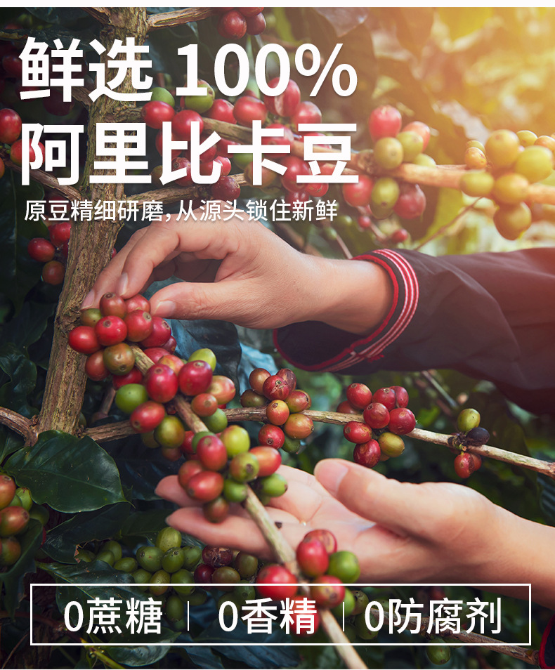 Guxun Drip Bag Coffee Blue Mountain Italian Yirgacheffe Style Ground Hand Brew Instant Coffee 3 Flavor Set specifications