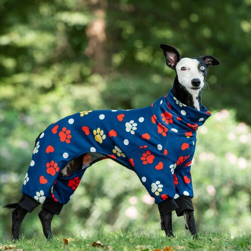 Cross-border Amazon dog pet sunflower print high collar clothing fashionable autumn and winter bare belly four-legged clothes pet clothing