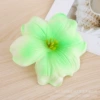 【Gradient Green】