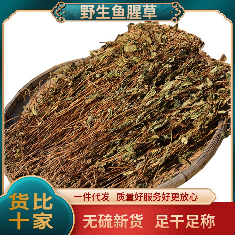 一件代发包邮干清热下火茶汤新鲜干货野生鱼腥草