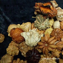 ���J�Ѷ�������ī�����J�w�Ϲ��߲��w����������