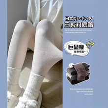 打底裤女秋冬季加绒加厚灰色外穿螺纹显瘦紧身磨毛薄绒秋裤保暖裤