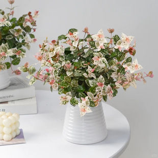 ���~�jʯ�����̨ͥԺ���Bֲ����ʻ����҃Ȳ��~�����S��jʯ����