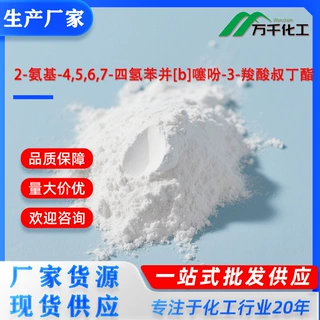 2-氨基-4,5,6,7-四氢苯并[b]噻吩-3-羧酸叔丁酯 92932-02-0厂家现