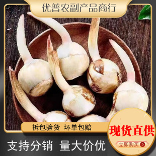 ����С�Ĺ�������r�״Ĺ��F�ڰ��R���r���ԷN�ȹ÷�Ŵ��β���߲�