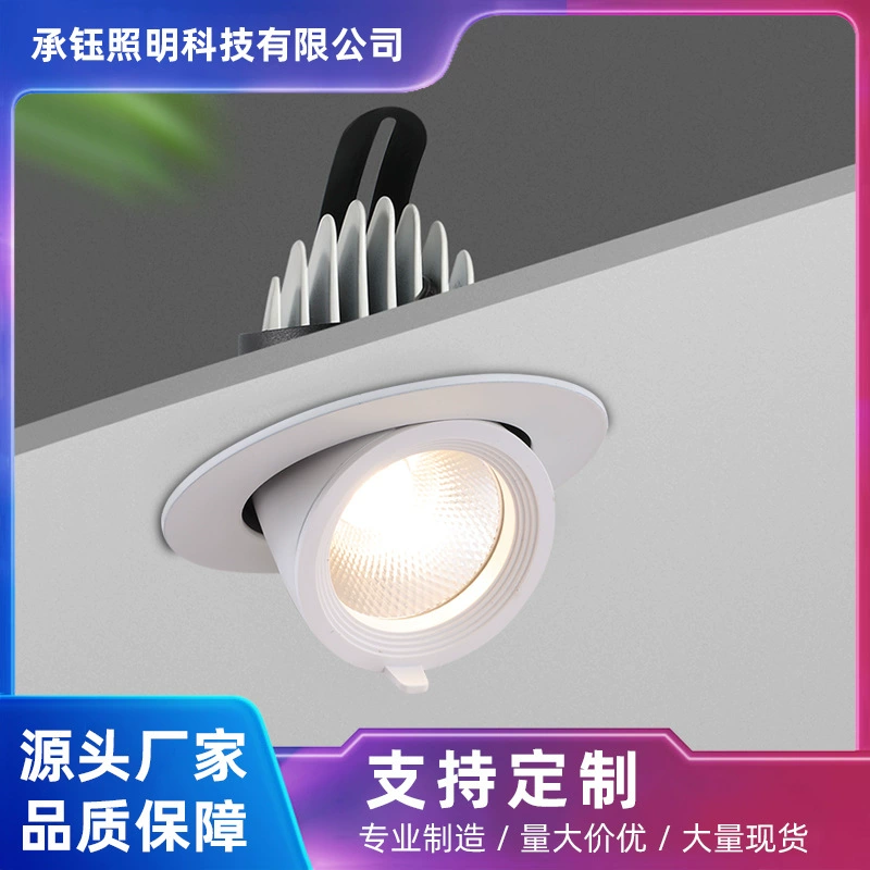 Telescopic LED lights, ceiling light, spot lighting, lamp for hotel