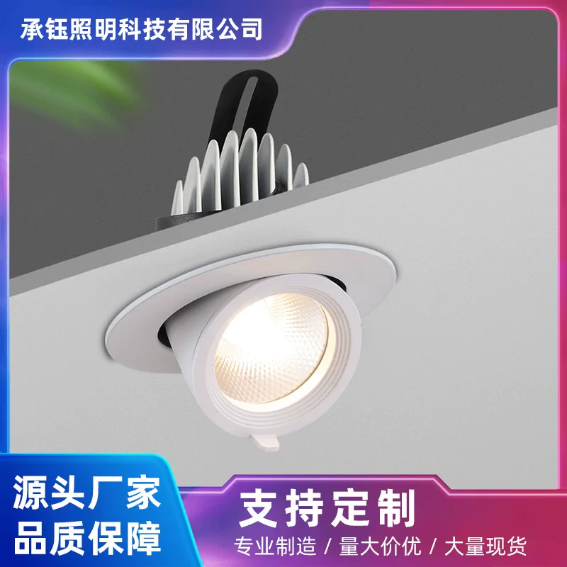 Telescopic LED lights, ceiling light, spot lighting, lamp for hotel