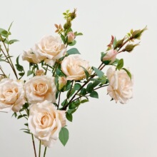 含阳 仿真5头韩式菲蝶 玫瑰花束 婚纱摄影 家居软装仿真花假花蔷