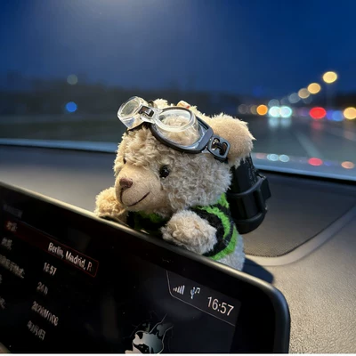 Sürətlər qutusu və əl tormozu başlıqları | ETC holder, car interior - aviator-goggles-green-striped-sweater-white-bear-lay-down-screen-etc-bracket
