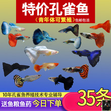 ��ȸ�~С�~�Ꭷ�~ȫ�N�������B�^�p�~С�͵�ˮ���R�~����~