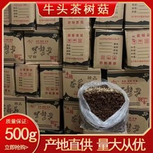 福建古田特產商用不開傘茶樹菇 菌菇散裝干貨批發產地直發