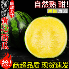 ��S���]������S�����Ϯ������rˮ���������ϱ�Ƥ�Sȿ���������