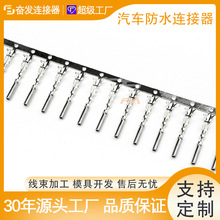 厂家供应 连接器 端子AMP系列 1447221-1 公端子