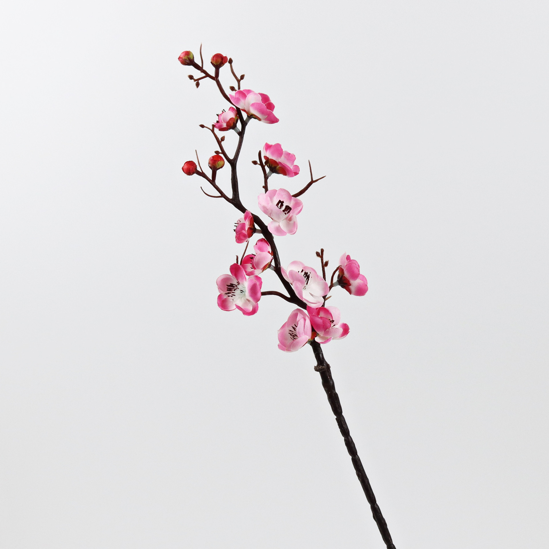 매화 핑크(높이 60cm )