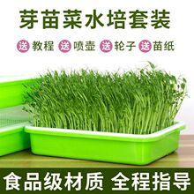 ��ѿ�lѿ��ѿ��������бP����ˮ���߲˷Nֲ�ܺЌ��ßo�������O��