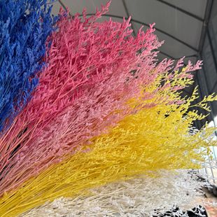 Eternal Flower Bleaching Lover Grass Dried Flower bouquet gift home decoration aromatherapy candle floating flower material