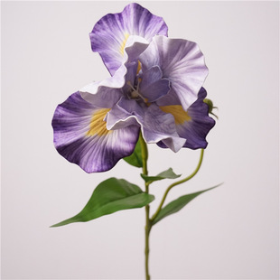 �ͮ��Sβ�ָ��ָА����z�Ҿ��b��m��Ȼ�Lɫ�ٻ��󻨷��滨��Ʒ�|