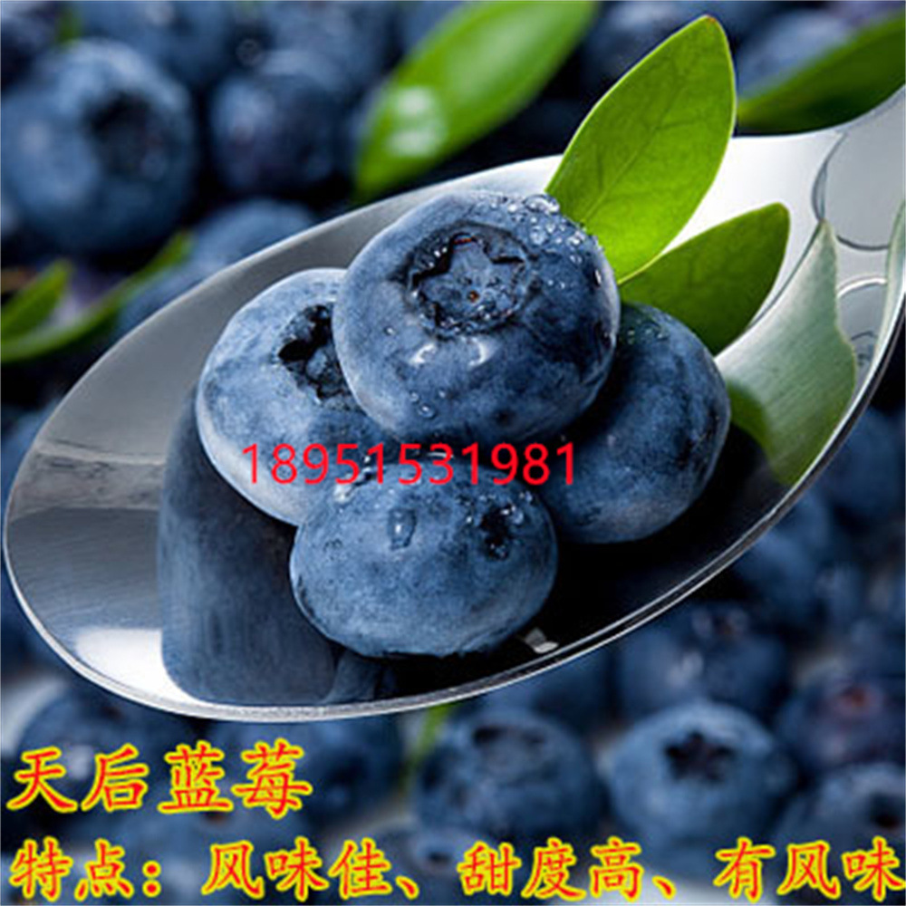 O1CN01OtWvvL2GM3I8SGL2K_!!2212