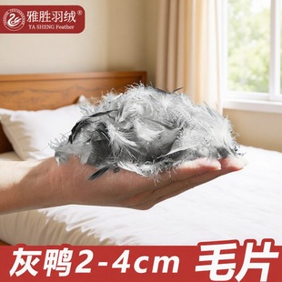 ���ƻ����qƬ�Ƶ�ɳ�l���������qɳ�l���ԭ�ϻ�����ë2-4-6cm