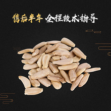 ���J�N���ش�������ٴ�ͥԺ����������С�ˌ�����С����N�д�ȫ