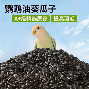 �W�^���Z��ʳ�I�B�Zʳ�����Ȼ������/С�ڹϠI�B�����羳ȫ��LP
