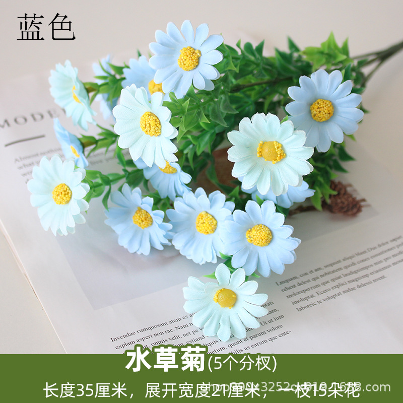 Plantas acuáticas y crisantemo azul