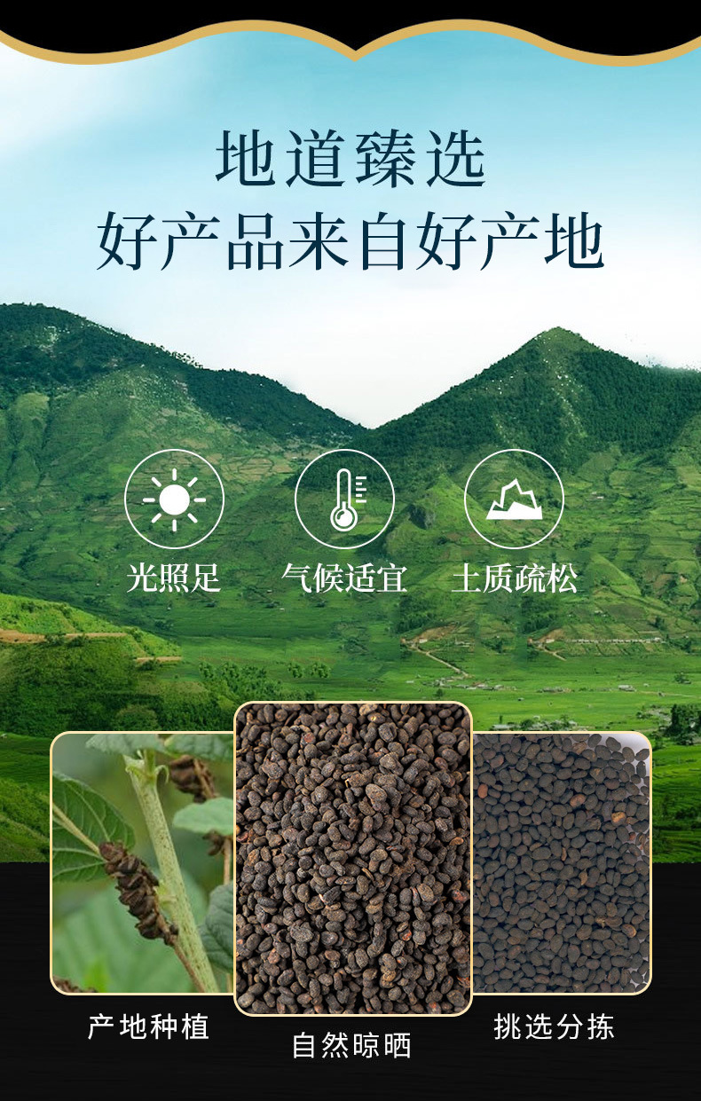Bu Gu Zhi (Psoralea corylifolia) — Prepared Psoralea Seeds, Food Herb for Decoction & Powder overview