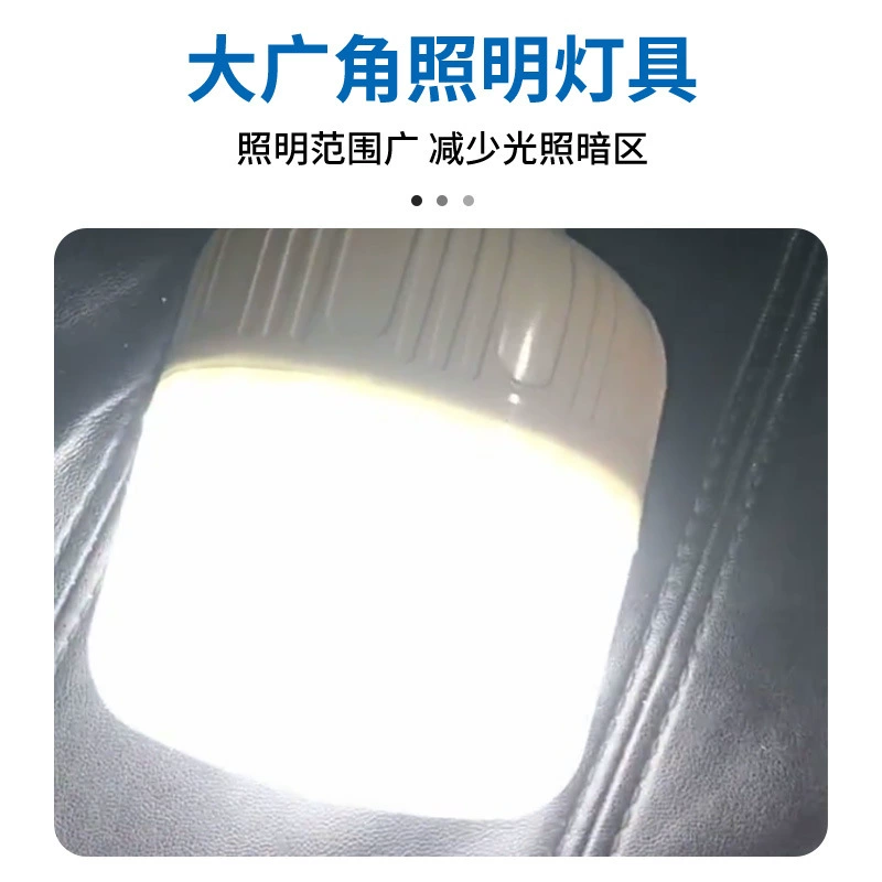 LED travel bulb, safe lights, custom-made, 12v, 85v