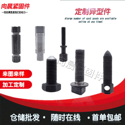 Shaped pieces Special bolt high strength Allotype Screw Turning pieces Cold heading shaped parts Customized Non-standard Screw