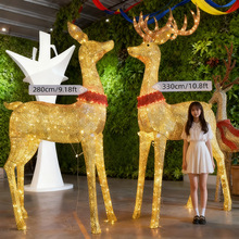 ���Ͱl����¹���͟���̈��V��¹�����}�Q�����������b�¹�Ӕ[��