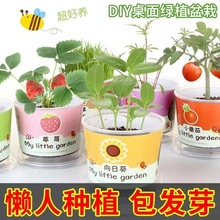 ��ͯ�NֲС�������ldiy�̨����ˮ��ݮ���Թ���朏S�羳���Q���l