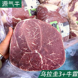 ����˹ţ��������^�����M�����ţ���������379�S����ţϥ�A��