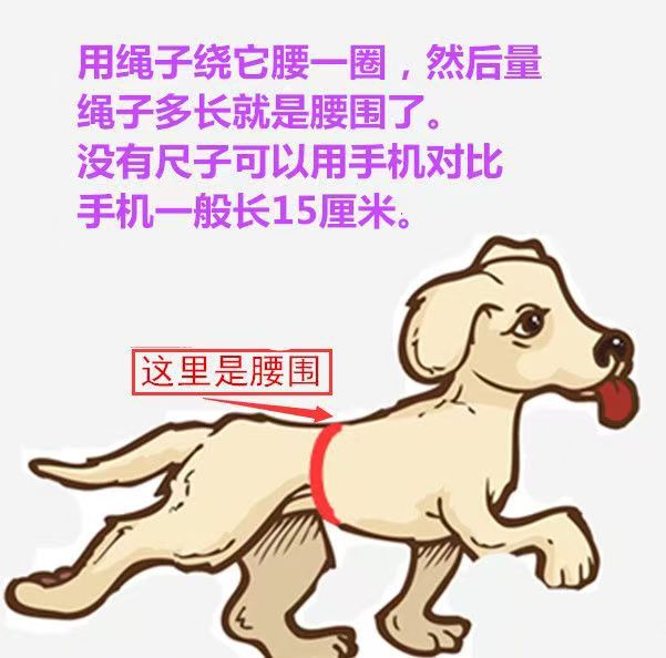 微信图片_20250124112422