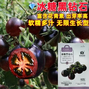 ���ѷN�ӟo�����L���Ƕȸ� ����ڸ� ���Ǻ��ʯ���ҷ��ѷN��