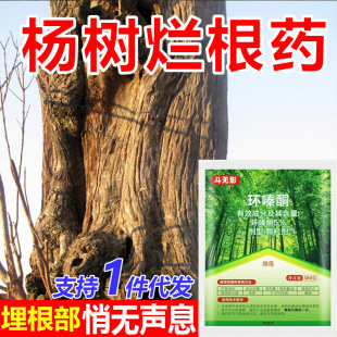 �h�ͪ����䘋���������w���������hຆL�s������ș���s�ݠ���