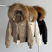 ëIɿqŮ̿ӺBñ2025¿С