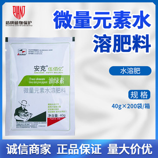 �;G�� �~��� �S�~׃�G�˷��~�ߴ��M�ڷ۾G�~���h Ӣ������40��