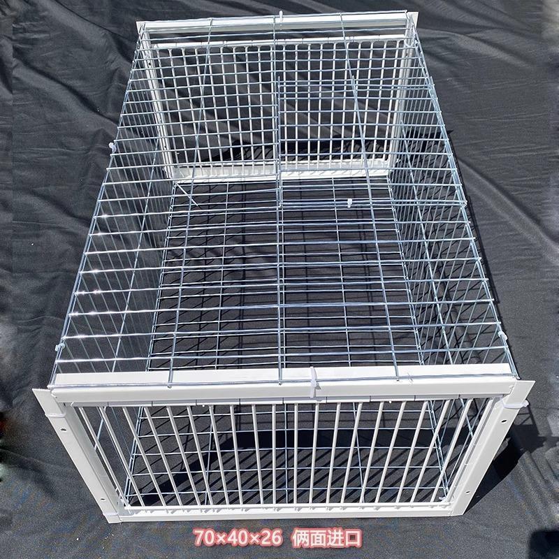 新しいスタイルの天落籠鳩ケージは厚く暗号化されており、自動的に鳩を閉じるための可動ドアと衝突ドアが付いており、屋外では出入りが可能です。|undefined