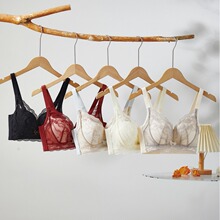 2024ٻ��9938���������μ�ƬB���������Ђ��՟o�Ȧ�{��͸�����